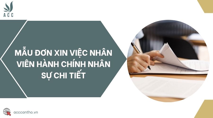 Mẫu đơn xin việc nhân viên hành chính nhân sự chi tiết