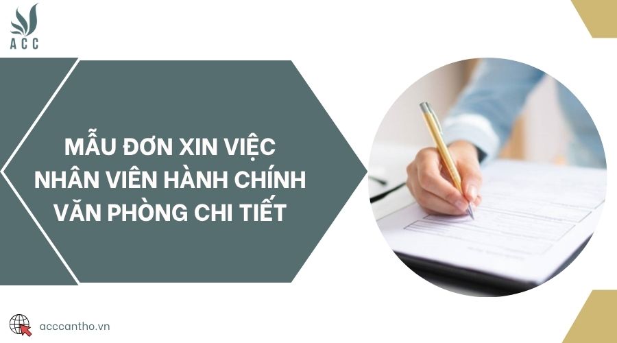Mẫu đơn xin việc nhân viên hành chính văn phòng chi tiết