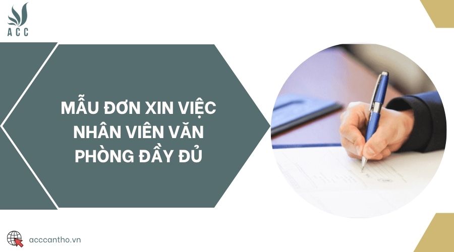 Mẫu đơn xin việc nhân viên văn phòng đầy đủ