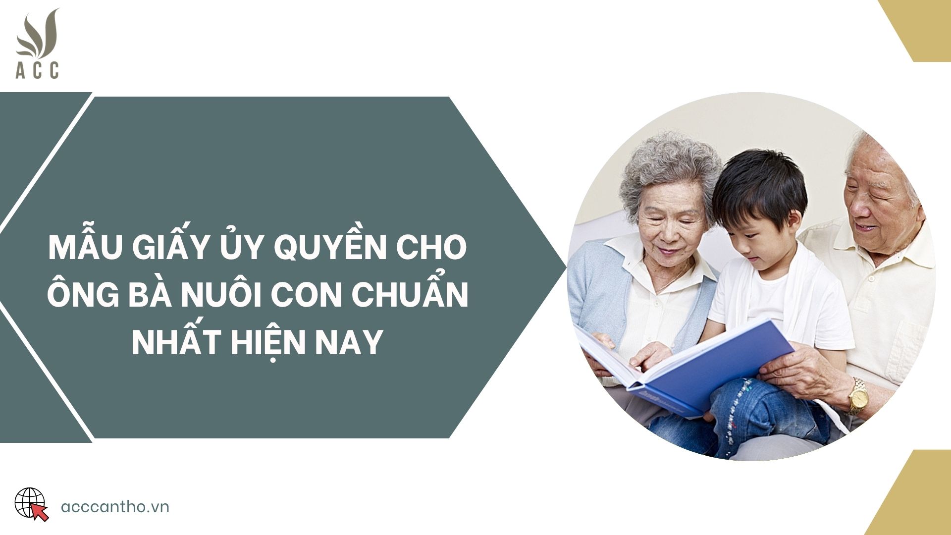 Mẫu giấy ủy quyền cho ông bà nuôi con chuẩn nhất hiện nay