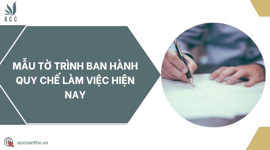 Mẫu tờ trình ban hành quy chế làm việc hiện nay