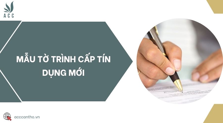 Mẫu tờ trình cấp tín dụng mới