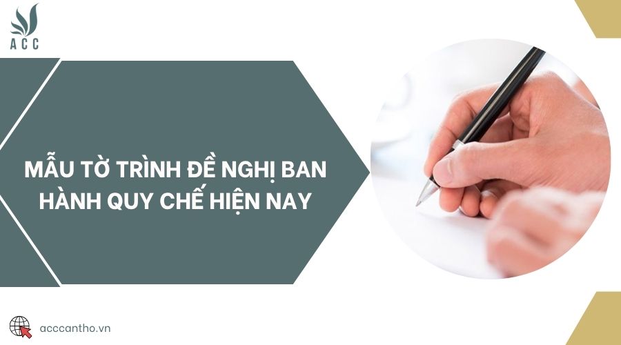 Mẫu tờ trình đề nghị ban hành quy chế hiện nay