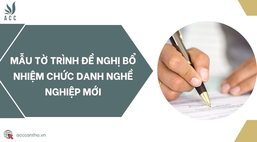 Mẫu tờ trình đề nghị bổ nhiệm chức danh fv888 mới