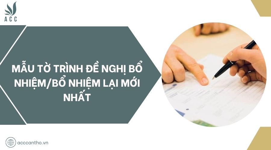 Mẫu tờ trình đề nghị bổ nhiệm/bổ nhiệm lại mới nhất
