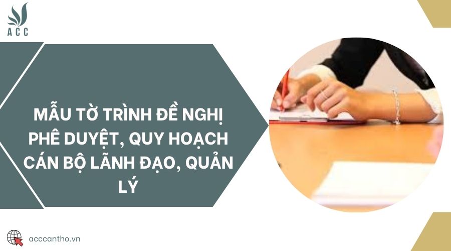 Mẫu tờ trình đề nghị phê duyệt, quy hoạch cán bộ lãnh đạo, quản lý