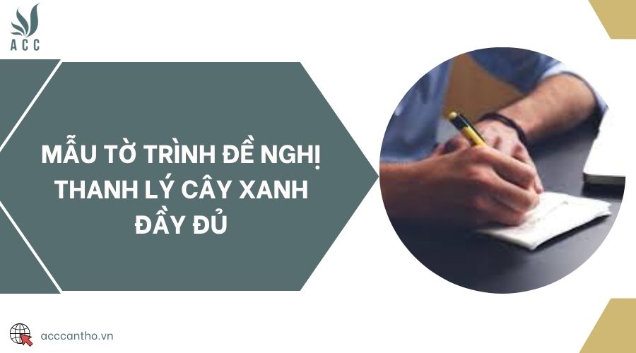 Mẫu tờ trình đề nghị thanh lý cây xanh đầy đủ