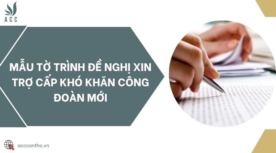 Mẫu tờ trình đề nghị xin trợ cấp khó khăn công đoàn mới