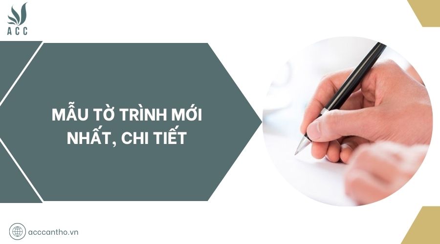 Mẫu tờ trình mới nhất, chi tiết
