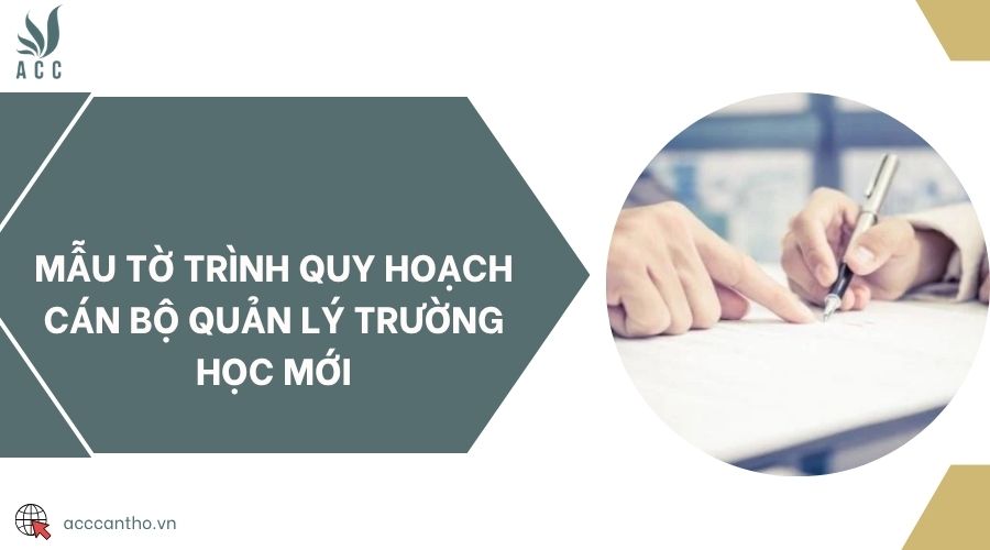 Mẫu tờ trình quy hoạch cán bộ quản lý trường học mới