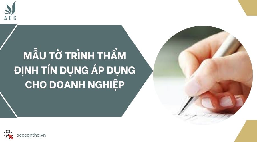 Mẫu tờ trình thẩm định tín dụng áp dụng cho doanh nghiệp