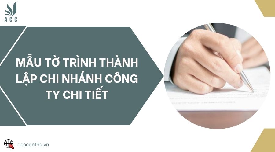 Mẫu tờ trình thành lập chi nhánh công ty chi tiết