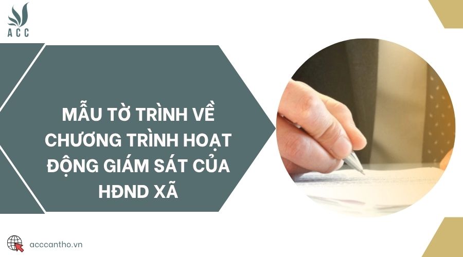 Mẫu tờ trình về chương trình hoạt động giám sát của HĐND xã