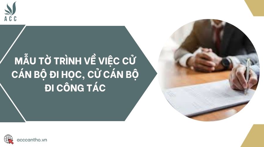 Mẫu tờ trình về việc cử cán bộ đi học, cử cán bộ đi công tác
