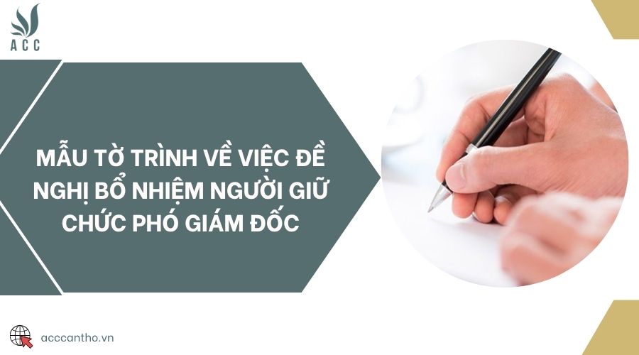 Mẫu tờ trình về việc đề nghị bổ nhiệm người giữ chức phó giám đốc