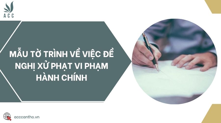 Mẫu tờ trình về việc đề nghị xử phạt vi phạm hành chính
