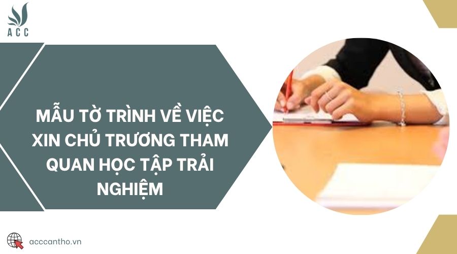 Mẫu tờ trình về việc xin chủ trương tham quan học tập trải nghiệm