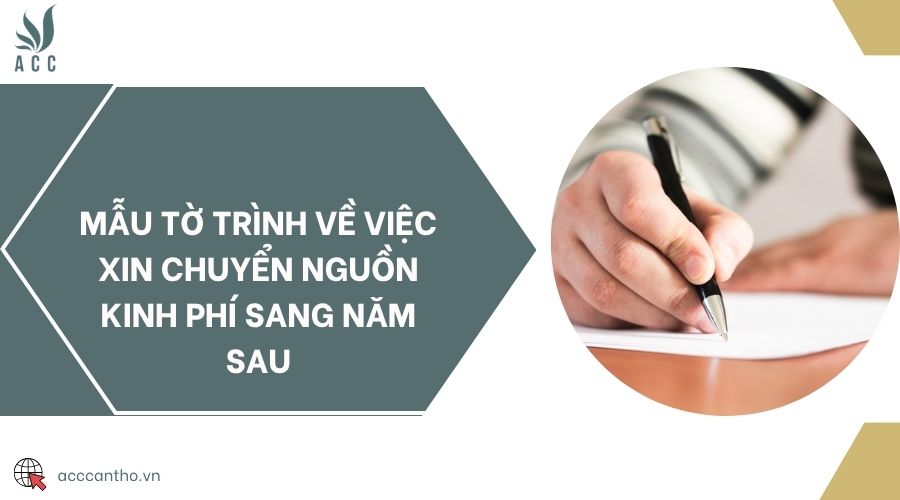 Mẫu tờ trình về việc xin chuyển nguồn kinh phí sang năm sau