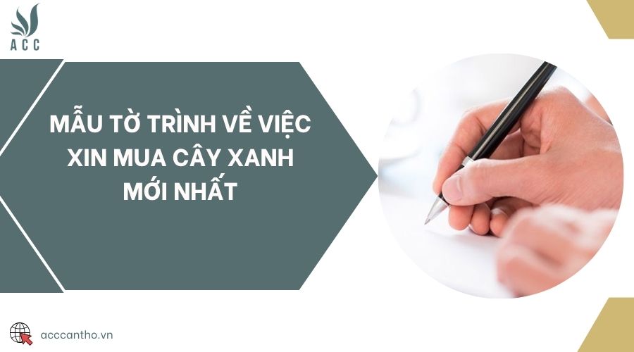 Mẫu tờ trình về việc xin mua cây xanh mới nhất