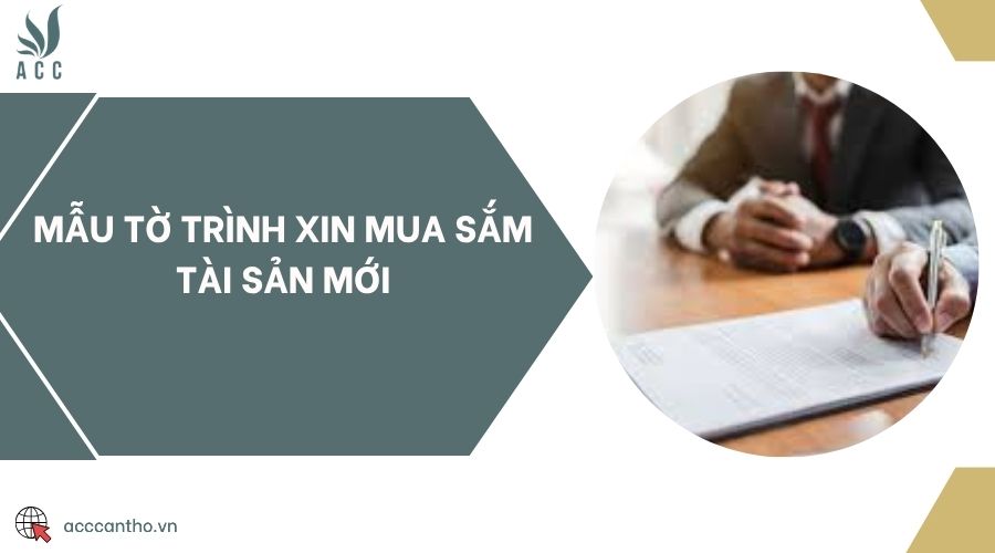 Mẫu tờ trình xin mua sắm tài sản mới