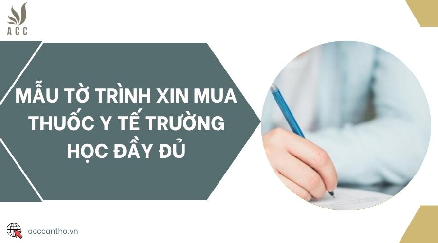 Mẫu tờ trình xin mua thuốc y tế trường học đầy đủ