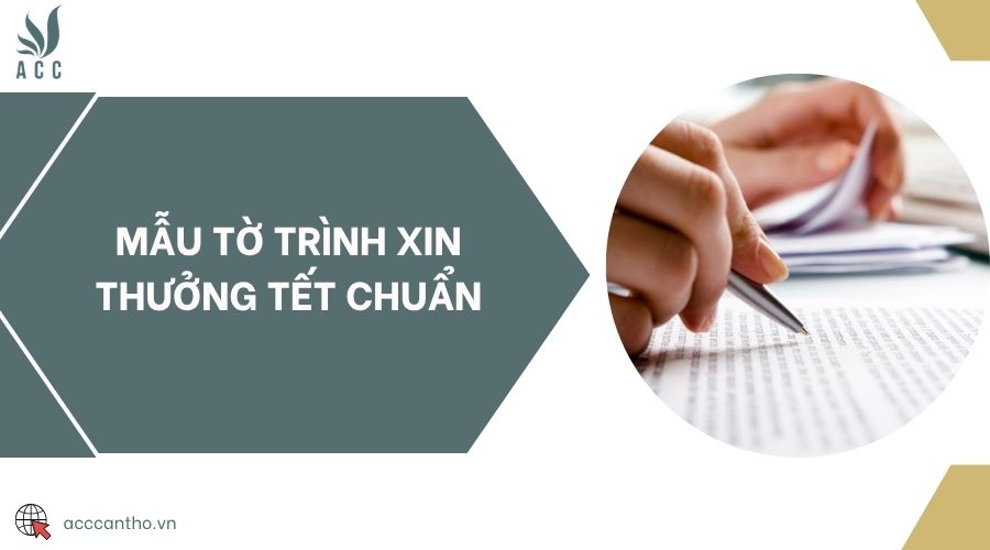 Mẫu tờ trình xin thưởng tết chuẩn