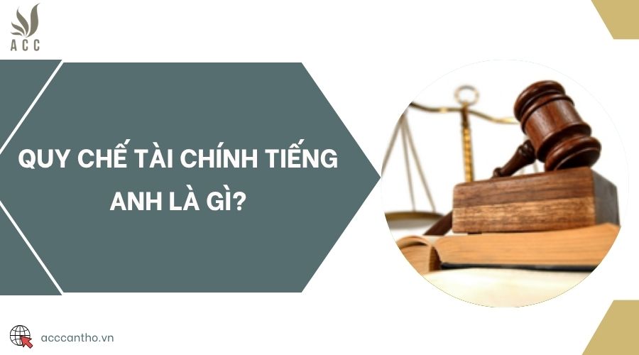 Quy chế tài chính tiếng Anh là gì?